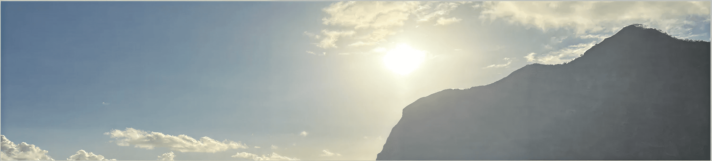Probate attorney Hawaii testimonial background